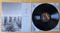 Scorpions, Crazy world. Vinyl LP