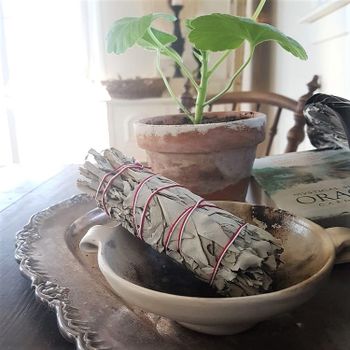 Vit Salvia smudgestick Medium