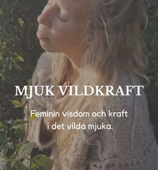 MJUK VILDKRAFT 23/11