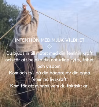 MJUK VILDKRAFT 23/11