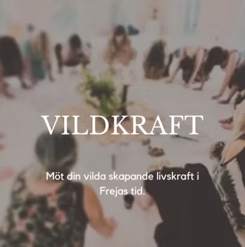 VILDKRAFT helgretreat 16-17 maj