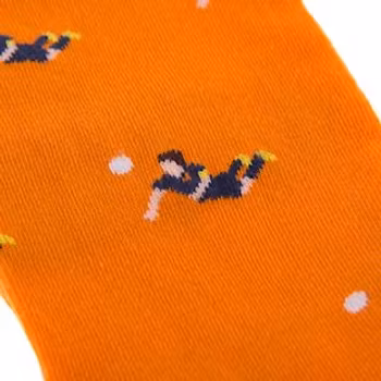 Holland 2014 Casual Socks