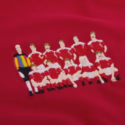 Denmark 1992 European Champions Embroidery T-Shirt