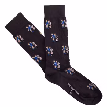 AFC Wimbledon Big Friends Socks