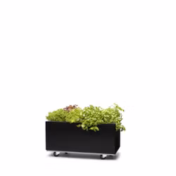 BEDD 60x30 h25 med bunn og hjul