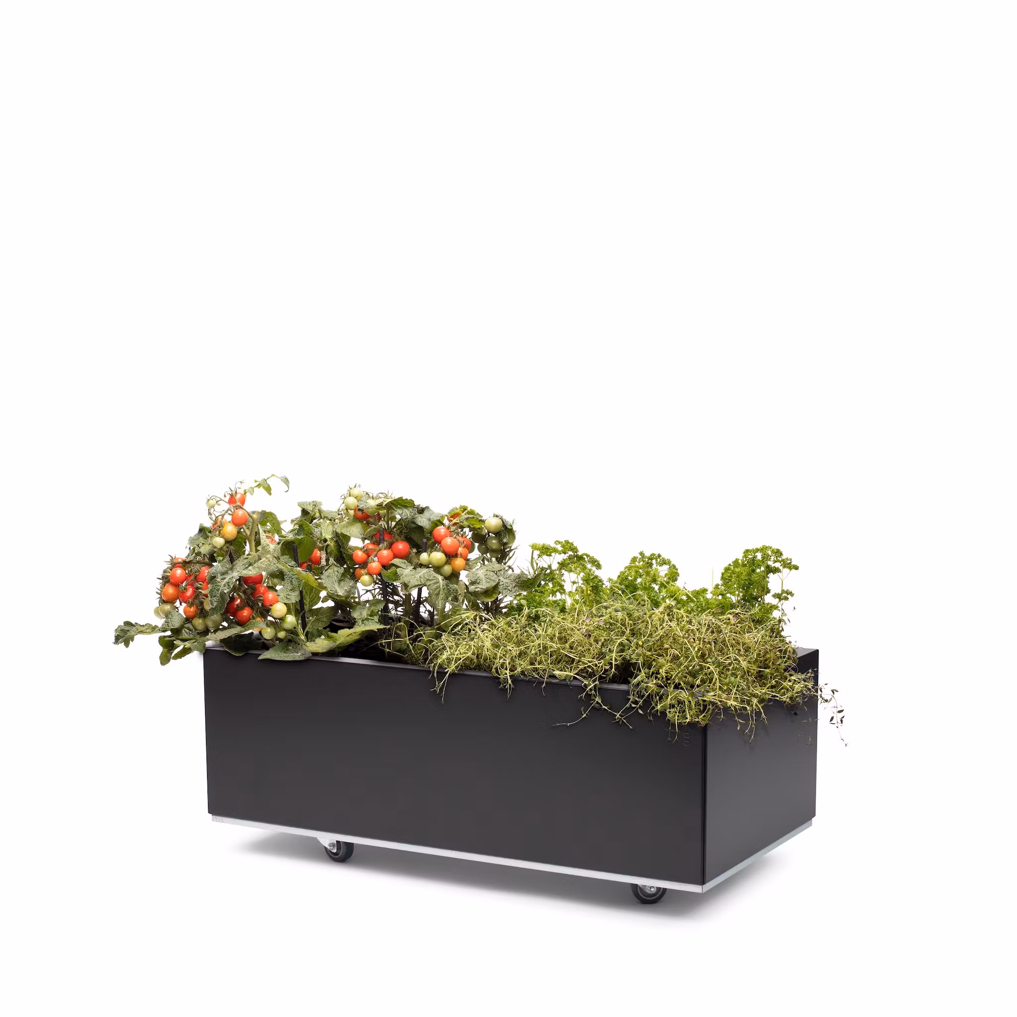 BEDD 80x40 h25 med bunn og hjul/ben