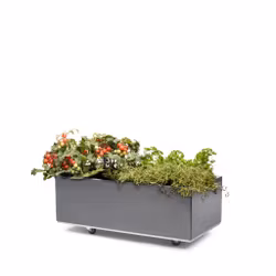 BEDD 80x40 h25 med bunn og hjul/ben