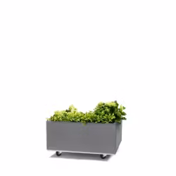 BEDD 60x60 h25 med bunn og hjul/ben