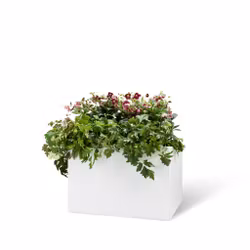 BEDD 60x60 h40 karm uten bunn