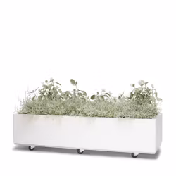 BEDD 120x40 h25 med bunn og hjul/ben