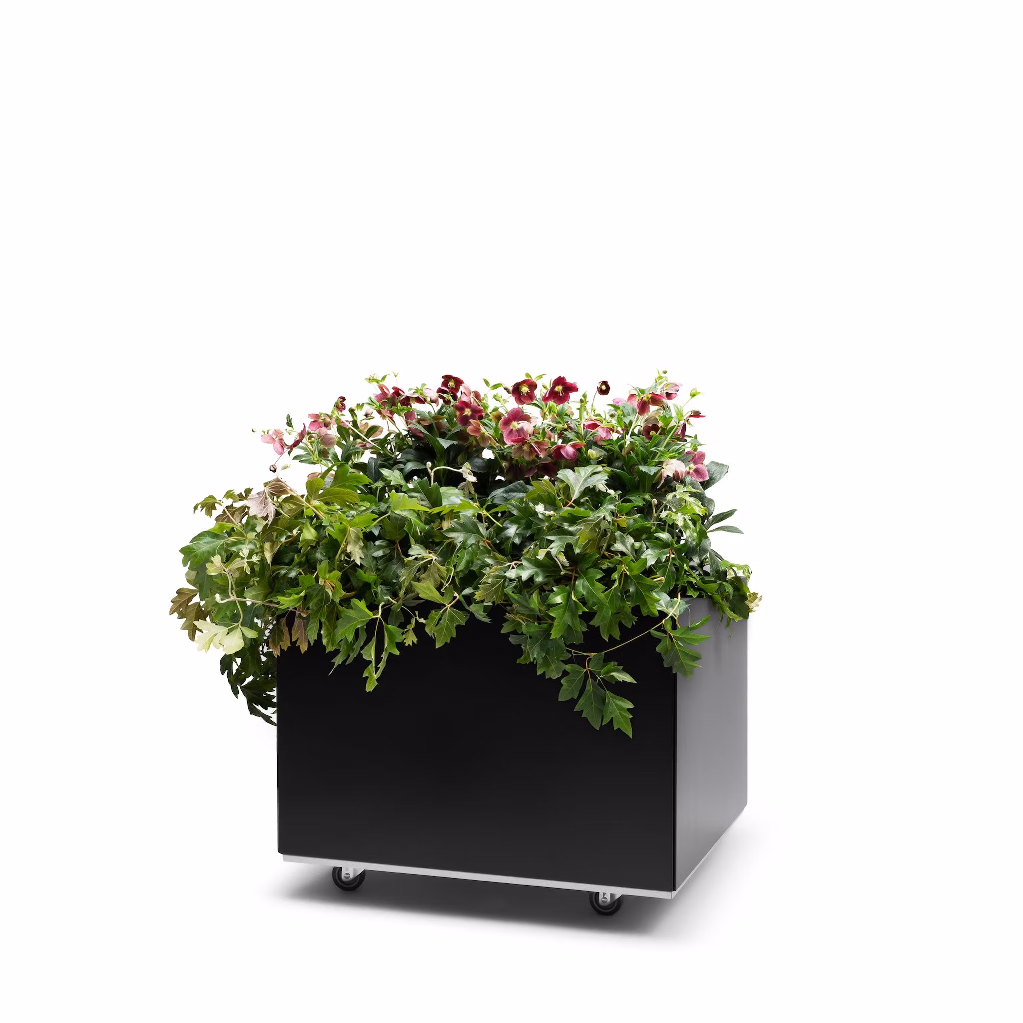 BEDD 60x60 h40 med bunn og hjul/ben