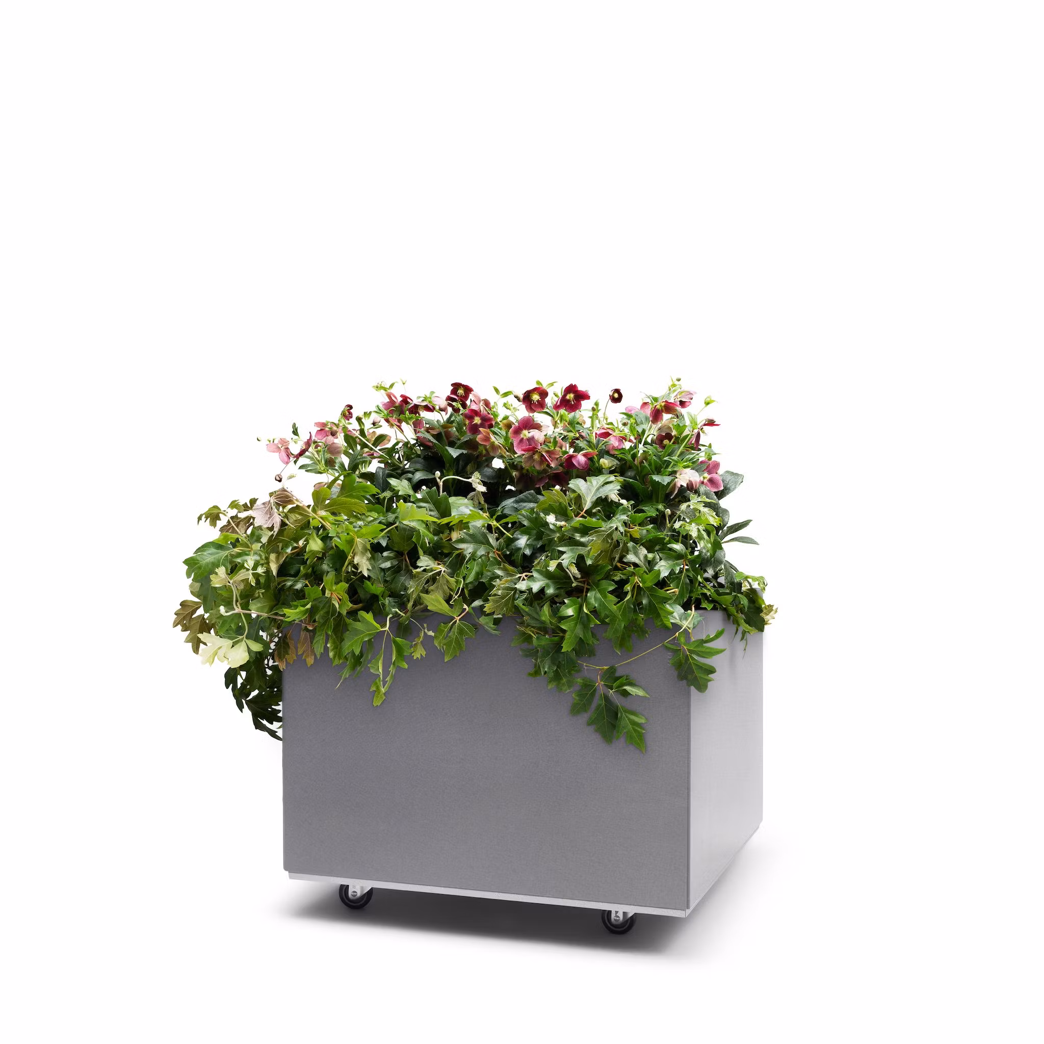 BEDD 60x60 h40 med bunn og hjul/ben