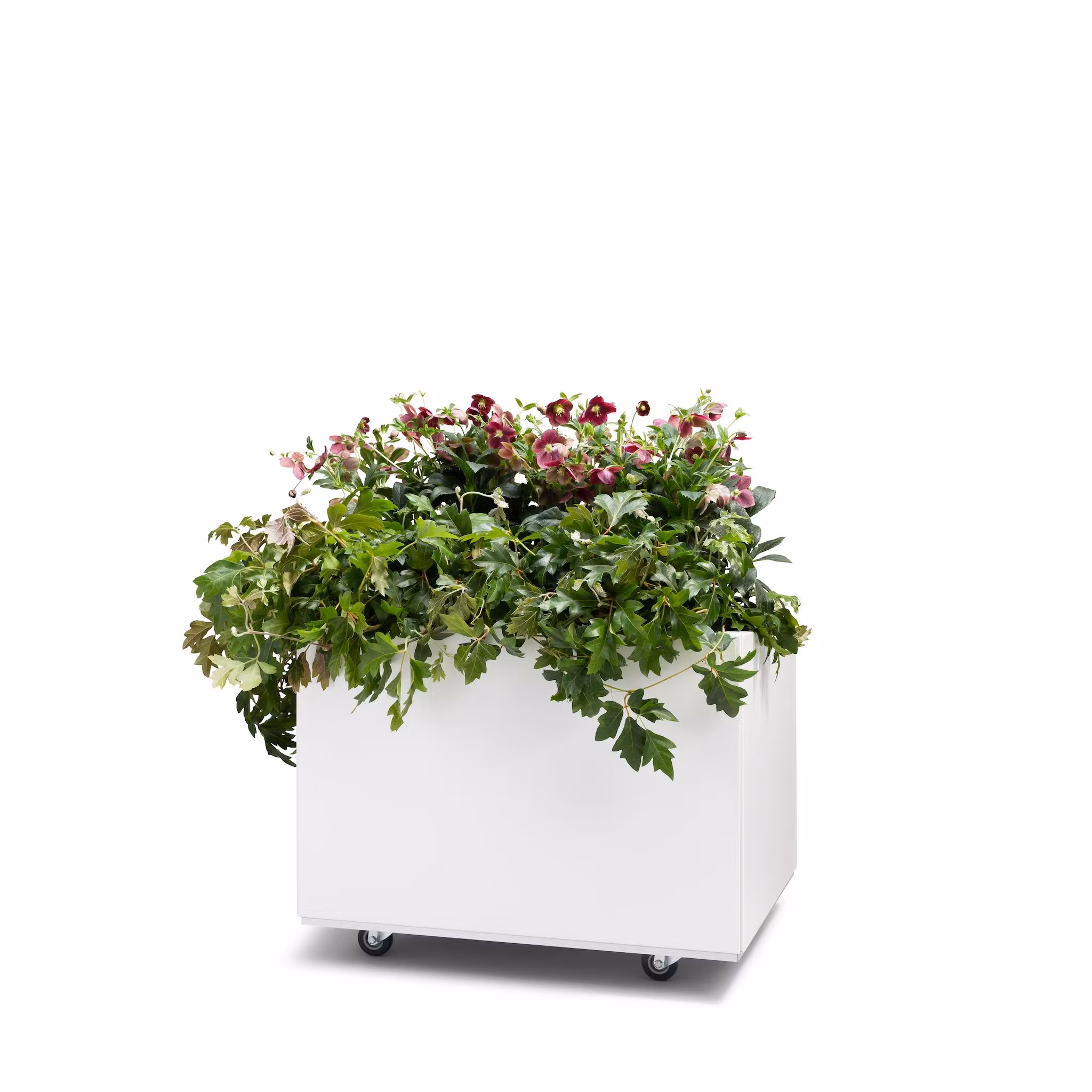 BEDD 60x60 h40 med bunn og hjul/ben