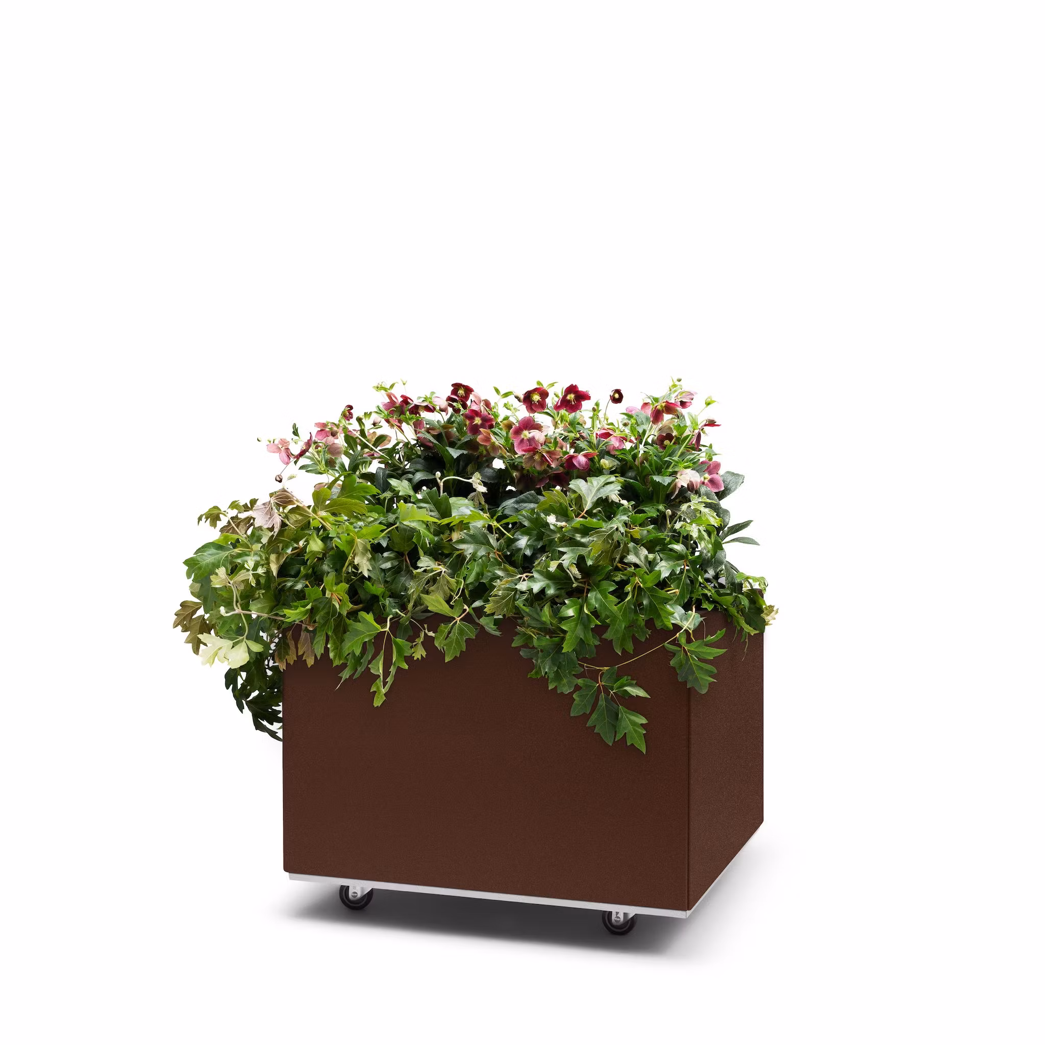 BEDD 60x60 h40 med bunn og hjul/ben