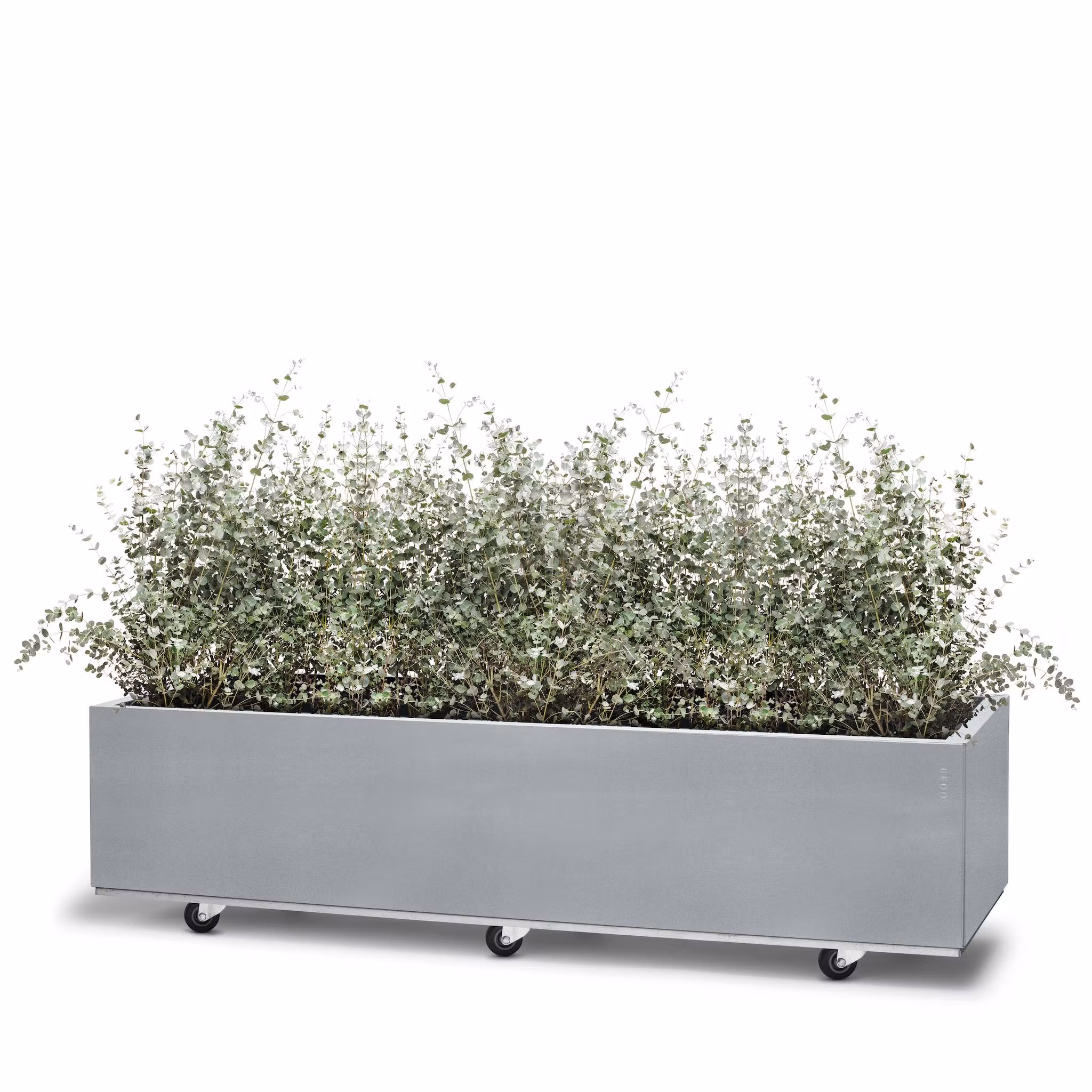 BEDD 120x60 h25 med bunn og hjul/ben