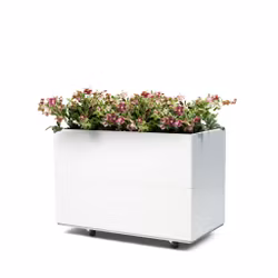 BEDD 80x40 h50 med bunn og hjul/ben