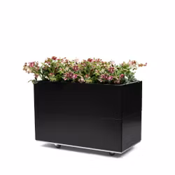 BEDD 80x40 h50 med bunn og hjul/ben