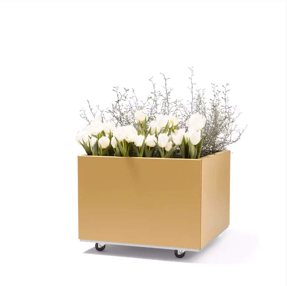 BEDD 60x60 h40 LIMITED EDITION GOLD