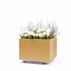 NYHET! BEDD 60x60 h40 LIMITED EDITION