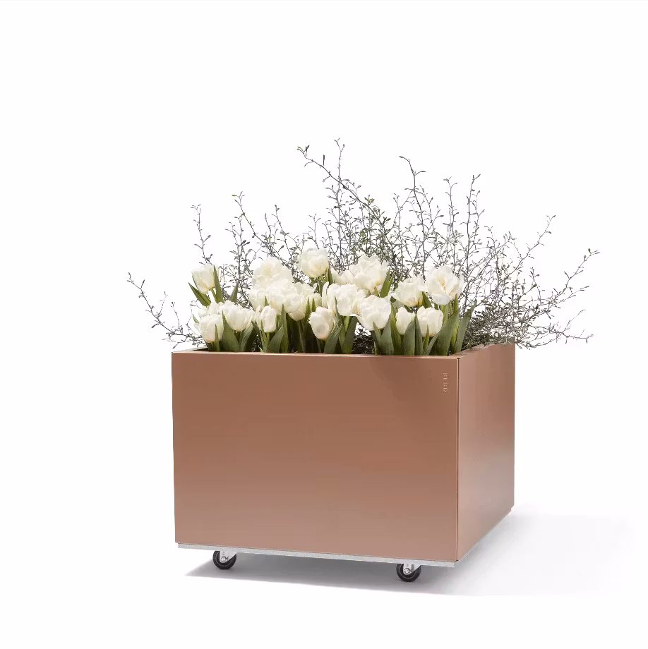 BEDD 60x60 h40 LIMITED EDITION LOTUS