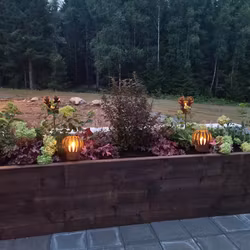 DYRKE Plantekasse Spesialprosjekt