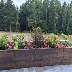 DYRKE Plantekasse Spesialprosjekt