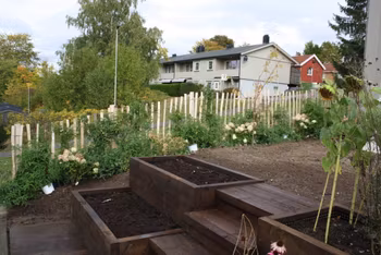 DYRKE Spesialprosjekt Kjøkkenhage