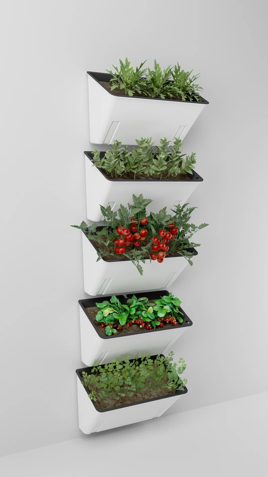 DYRKE «Basic» | Flere varianter