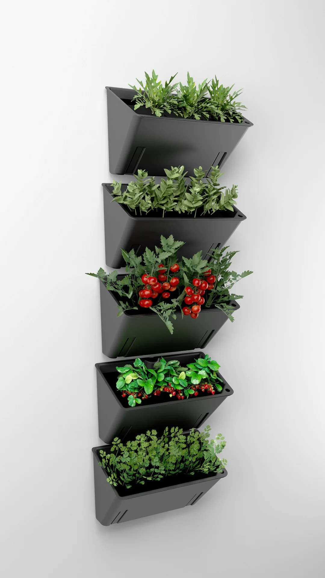 DYRKE «Basic» | Flere varianter