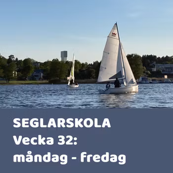Seglarskola vecka 32