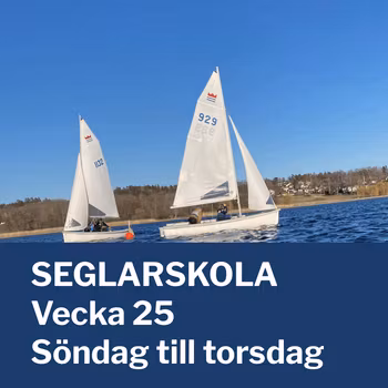 Seglarskola vecka 25