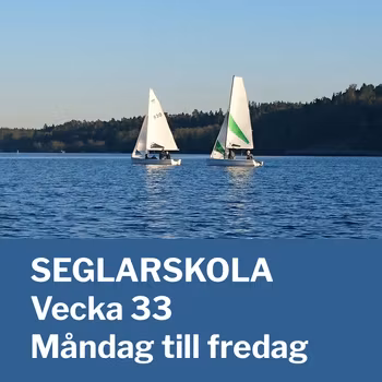 Seglarskola vecka 33