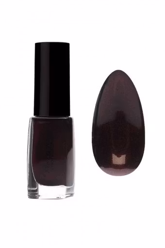 Pierre René Nail Polish