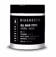 Absoluk Diagnostic All Hair Types Hydra-Mask 250ml