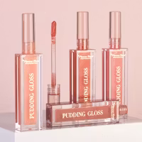 Pierre René Pudding Lip Gloss