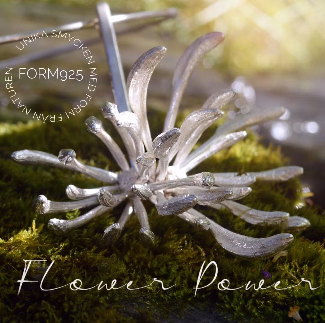 Silverhalsring Stor blomma