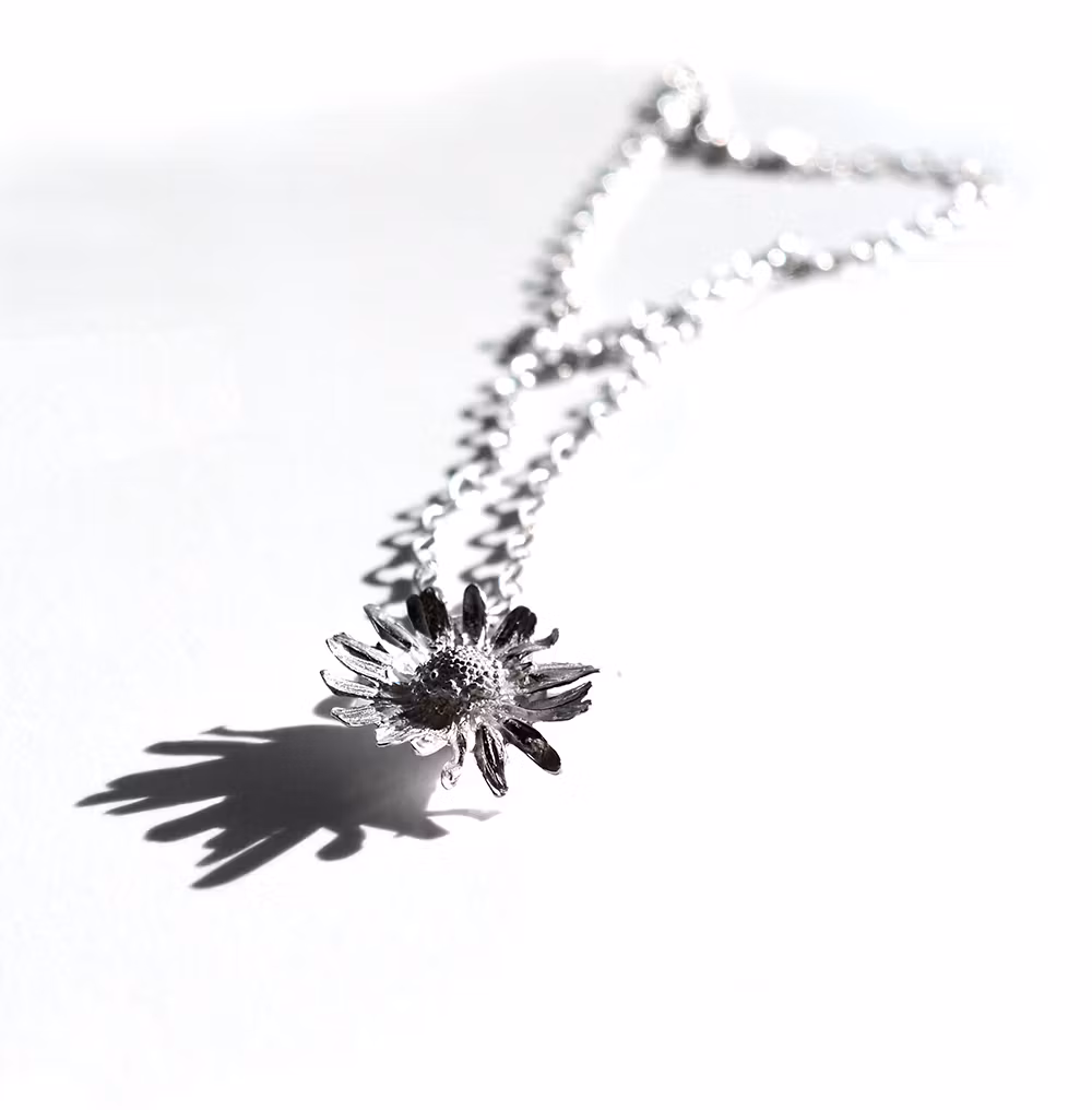 Silverberlock Daisy