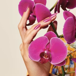 CND Orchid Canopy #407 VINYLUX, 15 ml