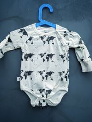 Ekologisk body världskarta