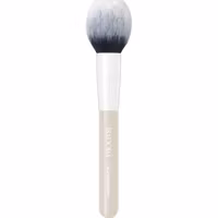 The blusher brush