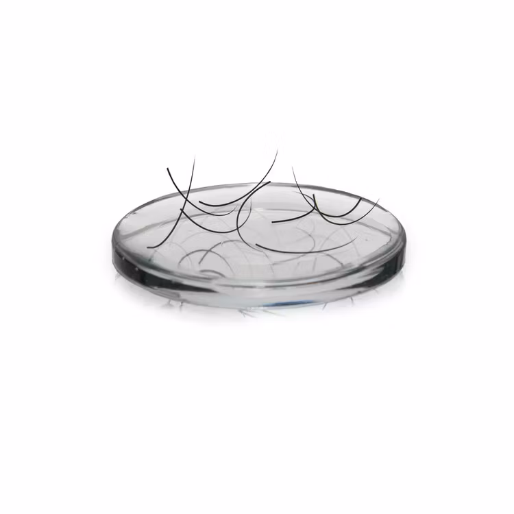 Lash Pad