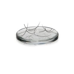 Lash Pad