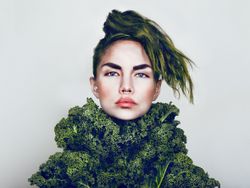 Recycle misery