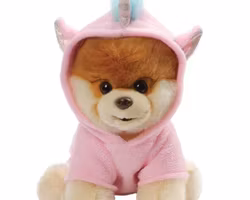 Unicorn Boo®