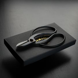 Japanska saxar - 10 pack