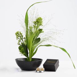 Blomsterfakir / Kenzan 34 mm - 20 pack
