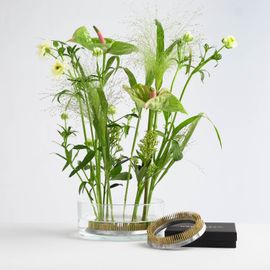 Blomsterfakir "The ring" 120mm - 10 Pack
