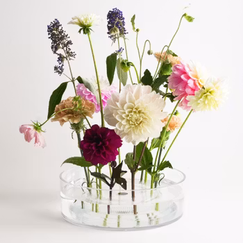 Akrylfat Stor - 10 pack