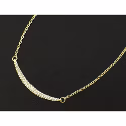Exklusivt halsband guldigt
