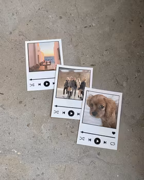 Spotify klistermärke